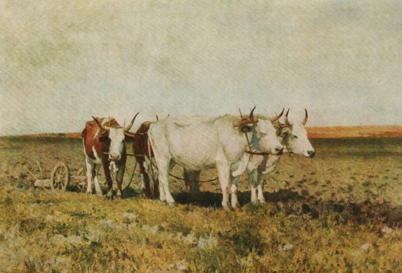 Svitoslavskyj_Voly_na_nyvi_NXMU_album.jpg